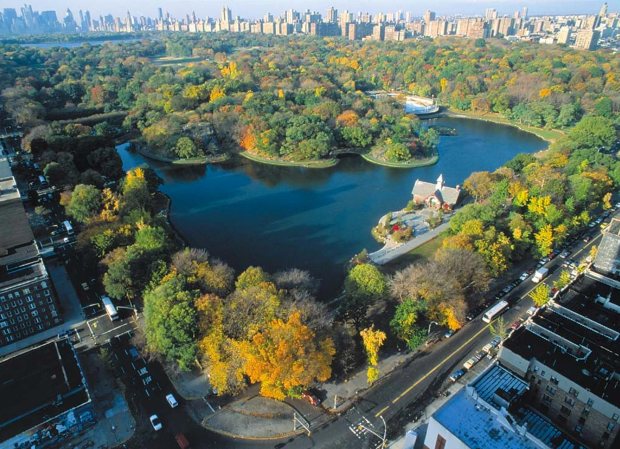 Центральный парк Нью-Йорка / Central Park in New York City